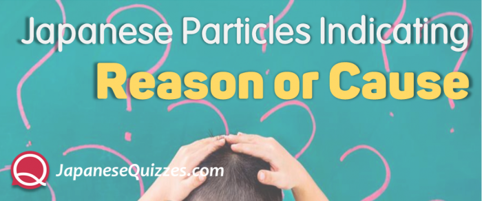 Japanese Particles that Indicate a Reason or Cause